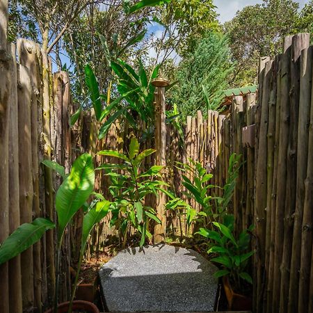 Bubblesky Glamping Guatape Hotel Eksteriør billede