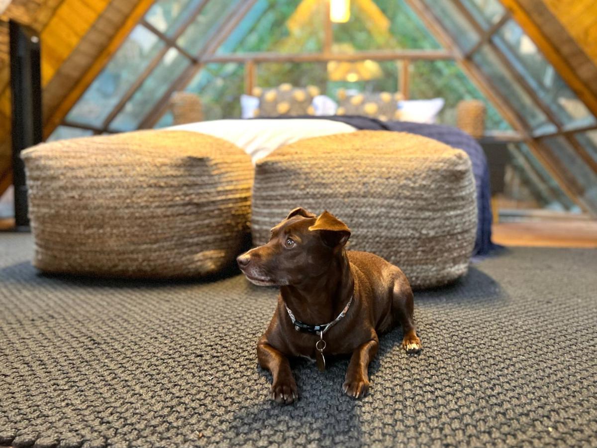Bubblesky Glamping Guatape Hotel Eksteriør billede
